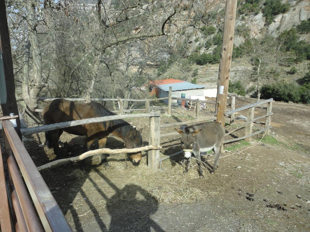 Faraggi Guesthouse Kalavryta Zimmer foto